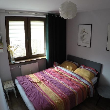 شقة اوسترزوكي دولن  في Apartament Bieszczady المظهر الخارجي الصورة